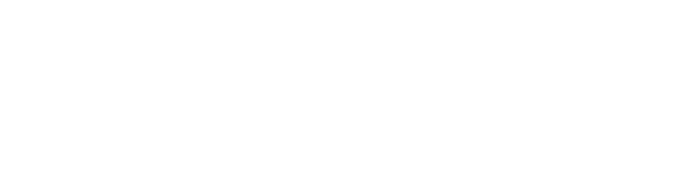 Lifting capacities LCV